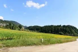 俗语：“床底放三物，家败人丁散”，三物指的是什么？有何道理？图片