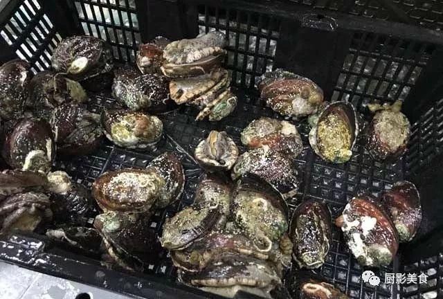 40头的花胶是几级 2025年花胶40头是什么意思?