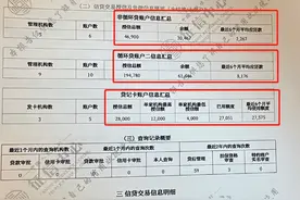 129笔网贷还欠10万，1年查询次数51次！这征信还能办车贷房贷吗？图片
