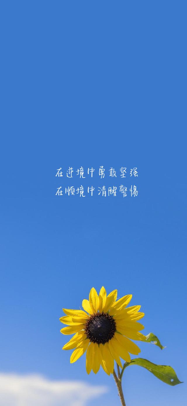 ��ѡ����Ȧ�����İ�����ϸˮ�������������˵��Զ��ֻ����ϧ