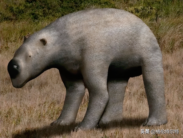 20 种最大的史前哺乳动物,树懒堪比2层楼