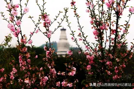 五台山的空灵之声图片