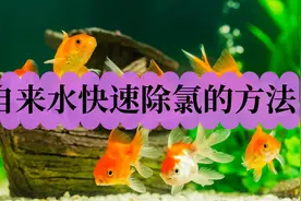 自来水如何除氯？五种自来水快速除氯的方法图片