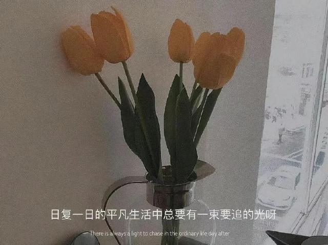 朋友圈情感文案图｜所谓的遗憾，归根结底还是心有不甘