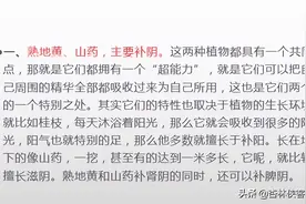 还少丹——可以缓解疲倦、乏力、四肢发凉、失眠多梦、五心烦热图片