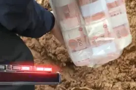 野地挖出巨额现金！背后涉及亿元大案图片
