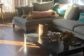 山姆购物吃后感 之椴树蜜图片