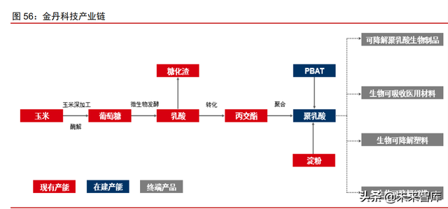 合成生物行业深度报告：合成生物学蓬勃发展，市场空间广阔