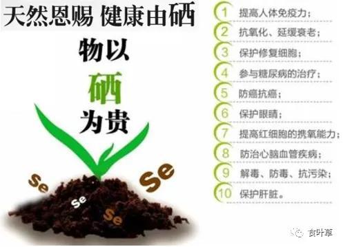 食叶草氨基酸多肽精蛋白与大健康产业