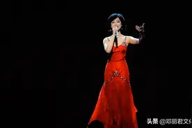 给虚拟邓丽君文化活动投资人提个醒图片