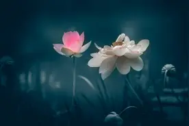 “不必如此、原来如此、为何如此”思辨性作文题+审题指导+范文图片