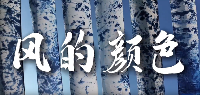 追“风”去大理