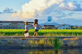 现实版宫崎骏世界：这位爸爸为孩子拍的童年照，每一张都能当壁纸图片