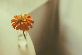 兄弟姐妹之间，关系再好也别互送“这几样东西”，容易结仇图片