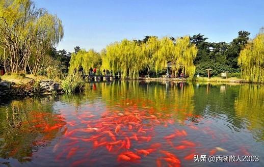 杭州概况导游词