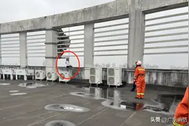 女孩跳楼前拨打119，竟是因为怕自己砸到人图片