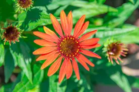 在异性关系中，想让他主动的联系你，这些技巧一定要知道图片