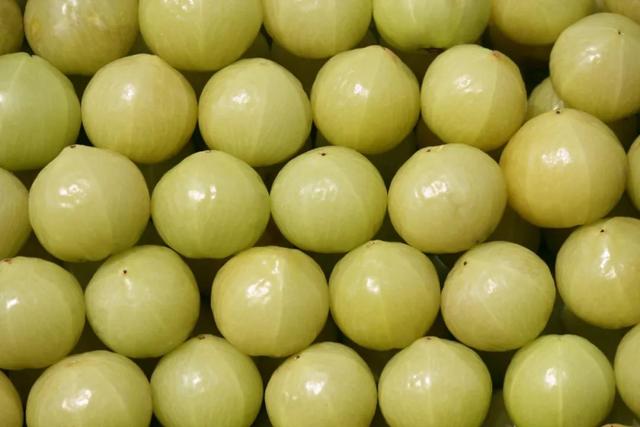 有一种果实，想不想来一口试试？