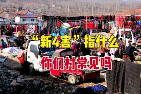 临近年尾，农村“新4害”又将出现，几乎村村都有，让人苦不堪言图片