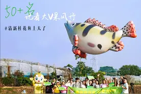 清新桂花鱼上天了！图片