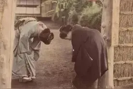 变态的脚盆鸡图片