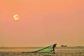 影者无疆 | 东台条子泥：万鸟栖息，滩涂赶海图片