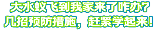 下雨前好多虫子怎么办