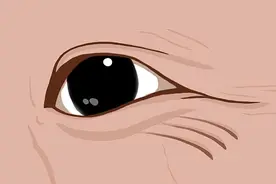 男性衰老，脸上容易有5种变化，哪怕只占一条，也要养成好习惯图片