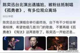 湾湾歌迷，你为何要和《孤勇者》过不去？图片