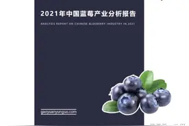 2021年中国蓝莓产业分析报告图片