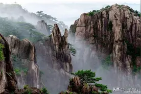 松树传奇——黄山上的这棵奇松该叫“梦笔生花”还是“妙笔生花”图片