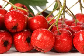 山楂不但能降血压，还能抗癌？生吃好还是泡水喝好？答案来了图片