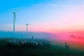 为什么我们很努力却还是穷、现在物质生活丰富我们却很难快乐？图片