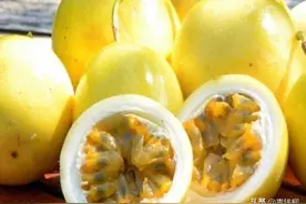 浙北地区百香果栽培技术图片