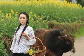 青春之梦：状元女的命运（1）图片
