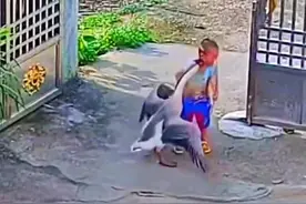 孙子在自家院子里玩耍，被大鹅追咬，爷爷知道此事后大鹅惨了！图片