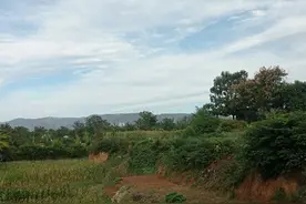 领导经常欺骗员工的四种话，每个打工者，都应该知道图片