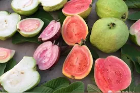 小众水果芭乐，又被茶饮店们带火了，最全芭乐说明书图片