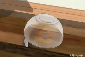 家里有老鼠怎么办？图片