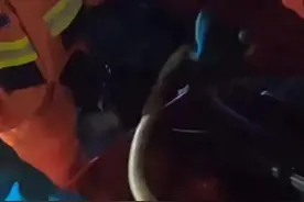 【#运城# 长蛇钻进引擎盖 消防紧急救援】图片