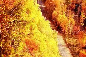 散文：在生命渐老的路上，看山水迤逦，踏歌而行图片