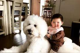 狗狗对大人和小孩真的是两副面孔，看完瞬间感到伤心图片