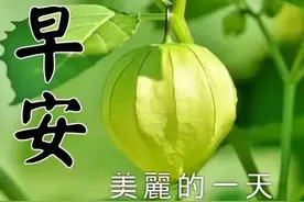 2022.7.31正能量早安问候语，周末朋友圈打卡祝福短句图片