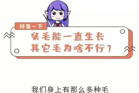 头发可以一直长，为什么“隐私处”的毛不能一直生长？图片