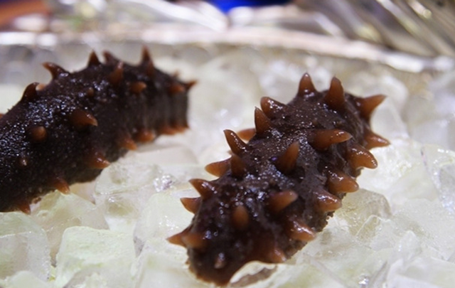 什么样的海参好 2026年什么样的海参好吃又有营养价值