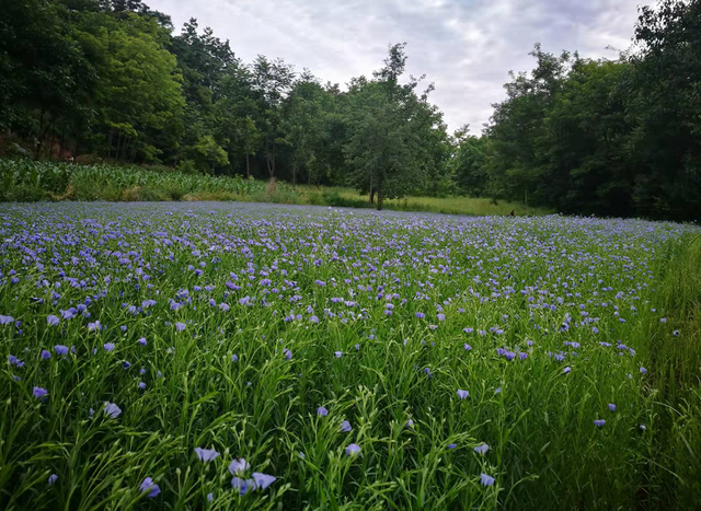 濡備綍浣跨敤鈥滄皑鍩洪吀鈥濃€滄彁浜у鏁堚€? onerror=