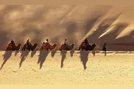 时评丨“骆驼罢工”现象值得深思图片