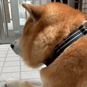 硰ӣ⼸ֹ˭˭