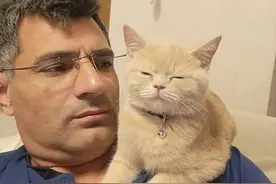 这届奥运会，不仅解气，还挺有意思的图片