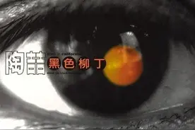David Tao Album #4－黑色柳丁（下）图片